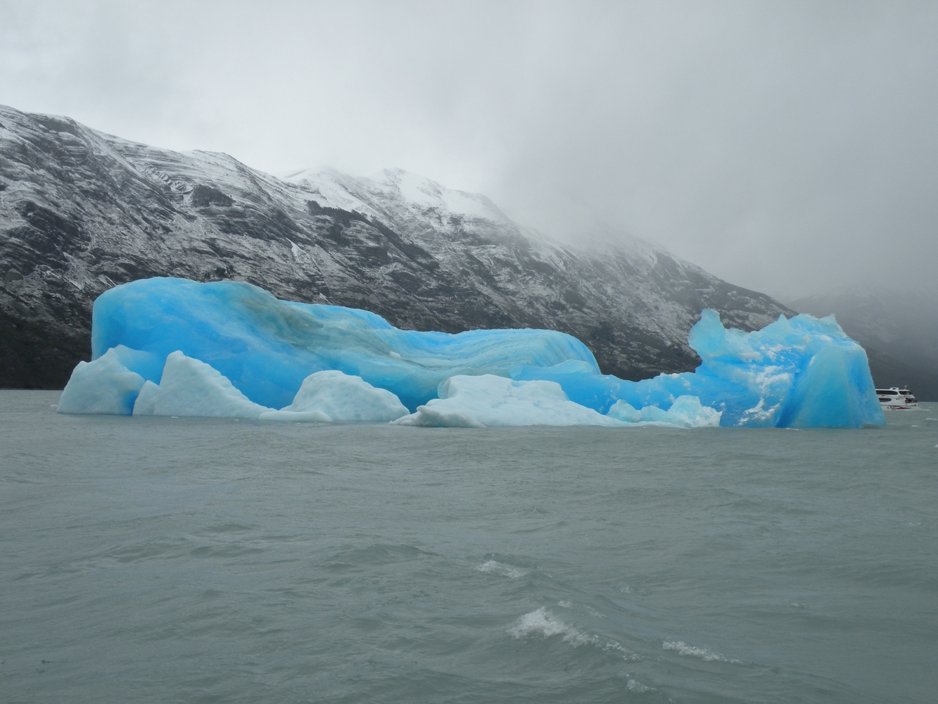 Iceberg - Navigation Lago Argentino